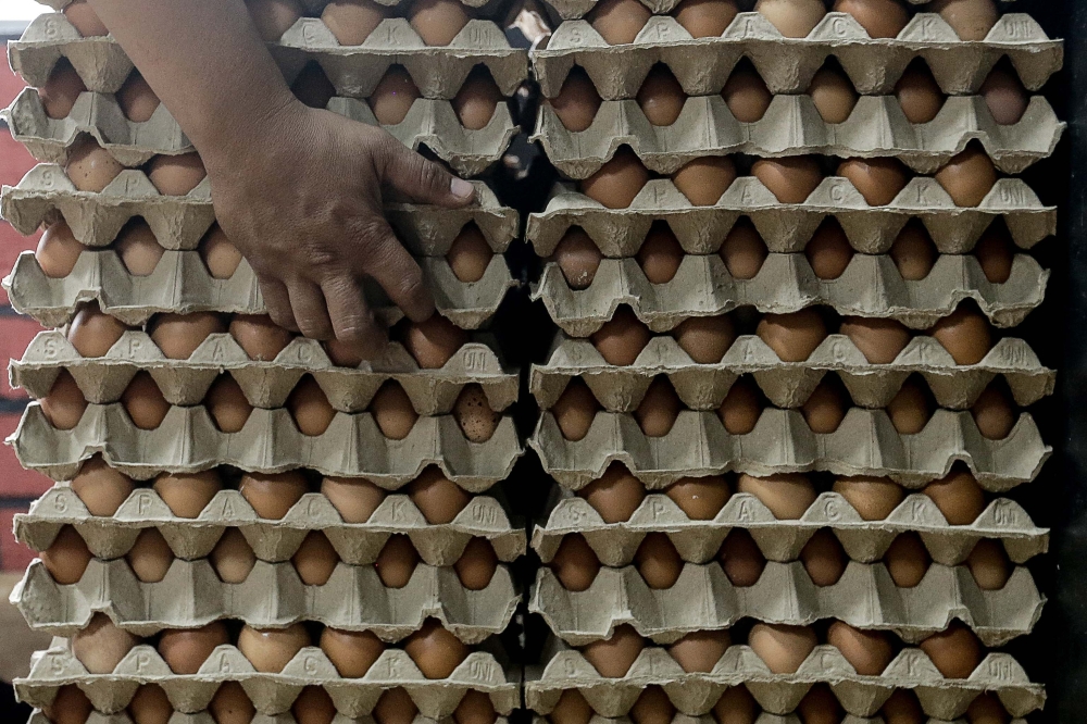 Thirty-two boarding school students in Terengganu aged 13 to 17 exhibited food poisoning symptoms after eating fried eggs prepared by the canteen operator on August 15, 2024. — Picture by Sayuti Zainudin