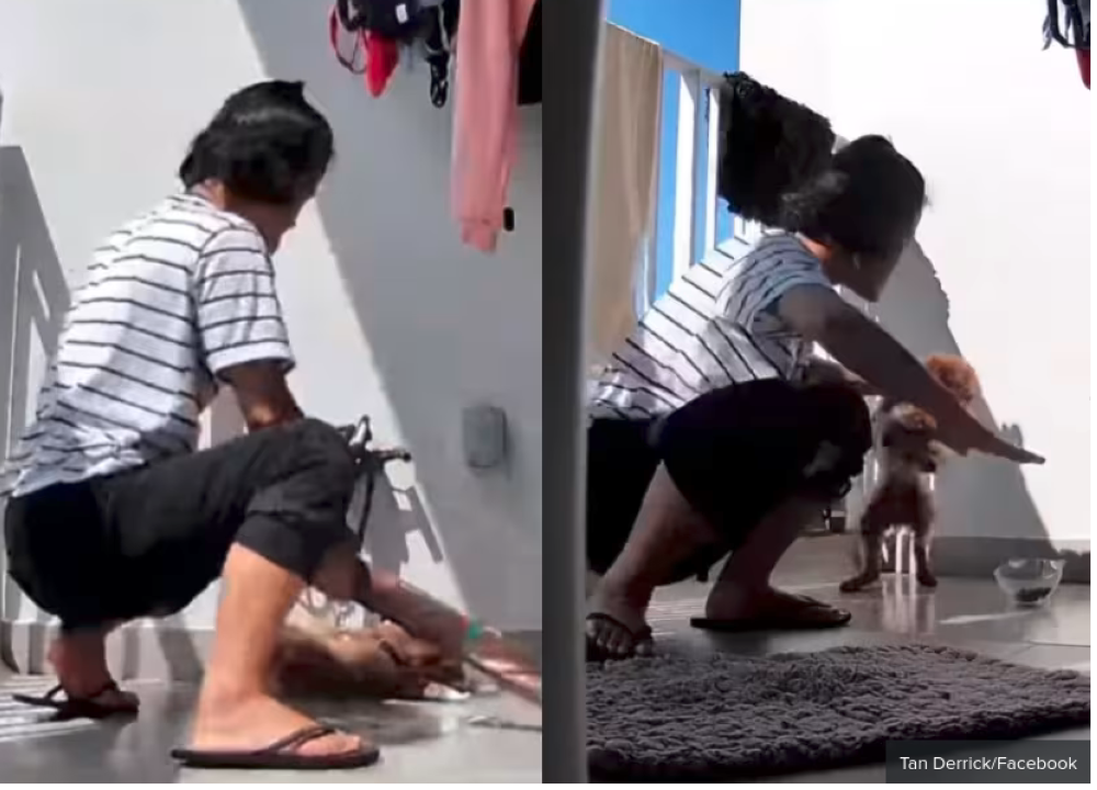 A composite shows screenshots of the alleged abuse on closed circuit television footage taken on Jan 22, 2024.