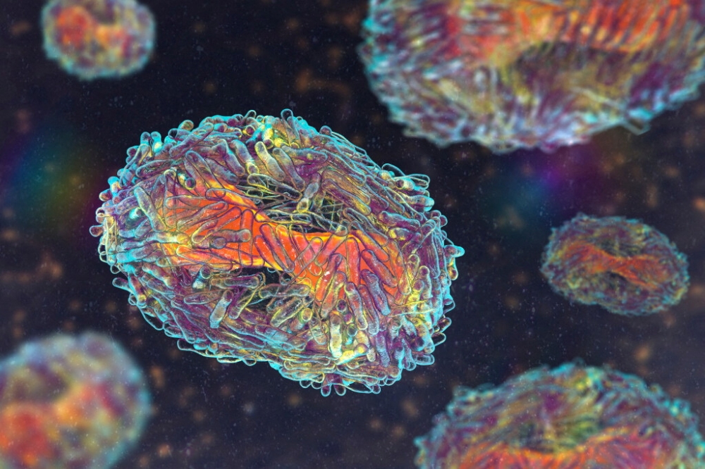 An illustration of mpox virus particles. — Reuters pic
