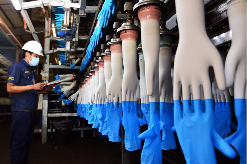 Deputy Plantation and Commodities Minister Datuk Chan Foong Hin said Malaysia exported rubber gloves worth over RM11.8 billion in 2023, capturing 45 per cent of the global market share. — Picture courtesy of Top Glove Corporation