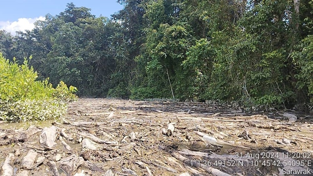 Handout photo showing parts of the river affected by the logjam. — Picture courtesy of Natural Resources and Environment Board