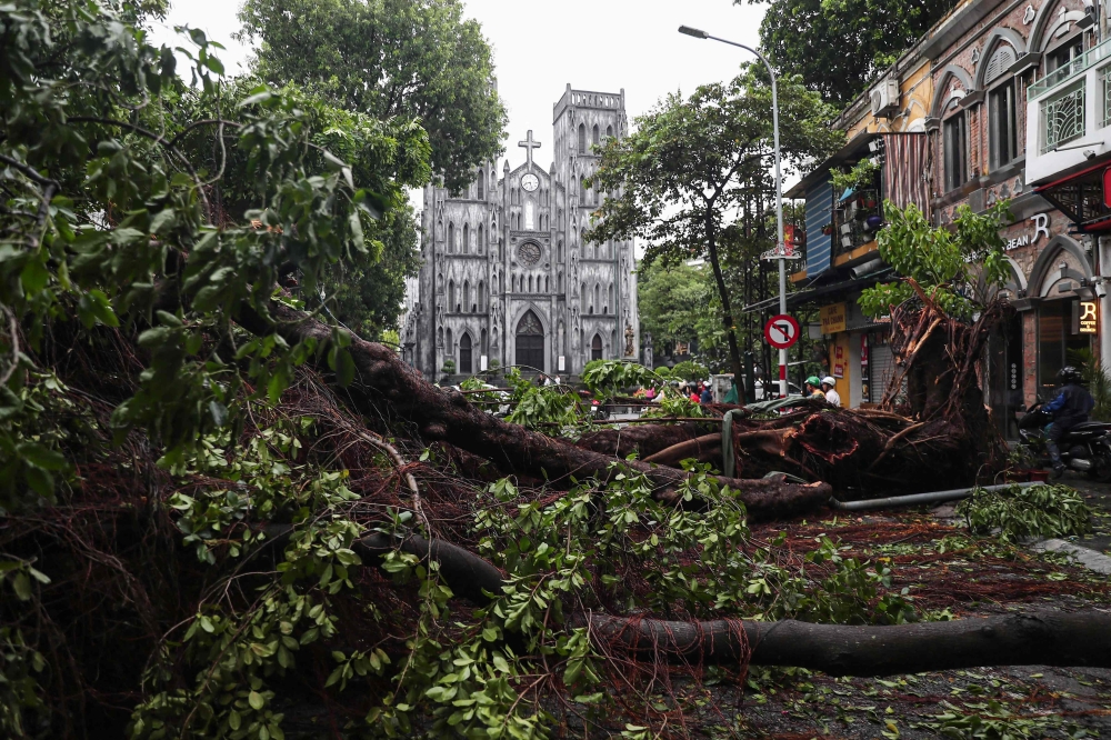 Toppled trees line a street in front of St Joseph Cathedral in Hanoi after Super Typhoon Yagi hit northern Vietnam on September 8, 2024. — AFP pic