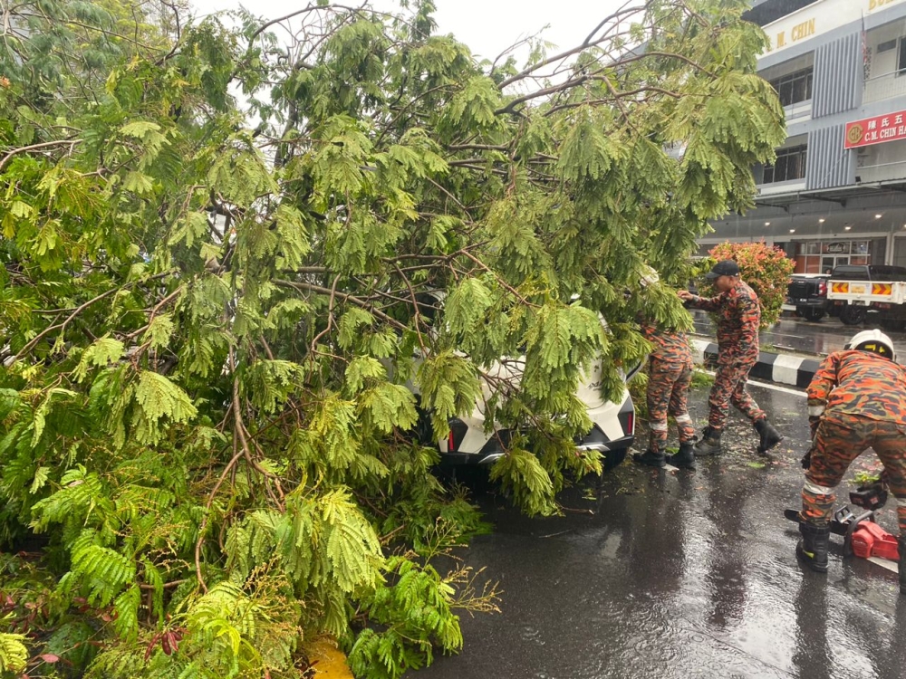 Firefighters clear debris from the tree that snapped in half and fell onto the hatchback car. — The Borneo Post pic