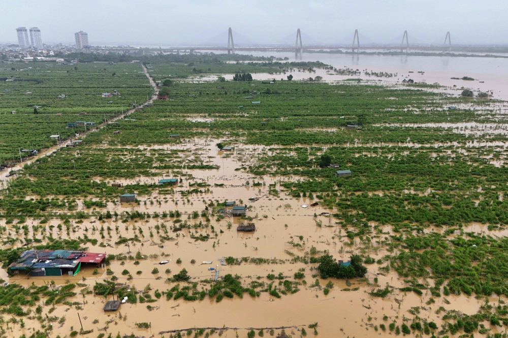This aerial view shows flooded farms and fields in Hanoi on September 12, 2024. — Reuters pic