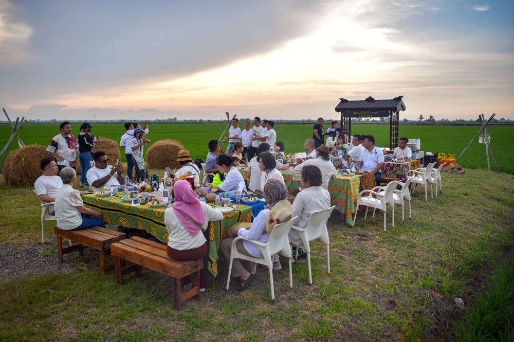 Private Ninja Kitchen’s location offers stunning views of the surrounding paddy fields and the atmosphere there at sunset is breathtaking and enchanting as the rays of the setting sun sweep over the paddy plants. — Bernama pic 