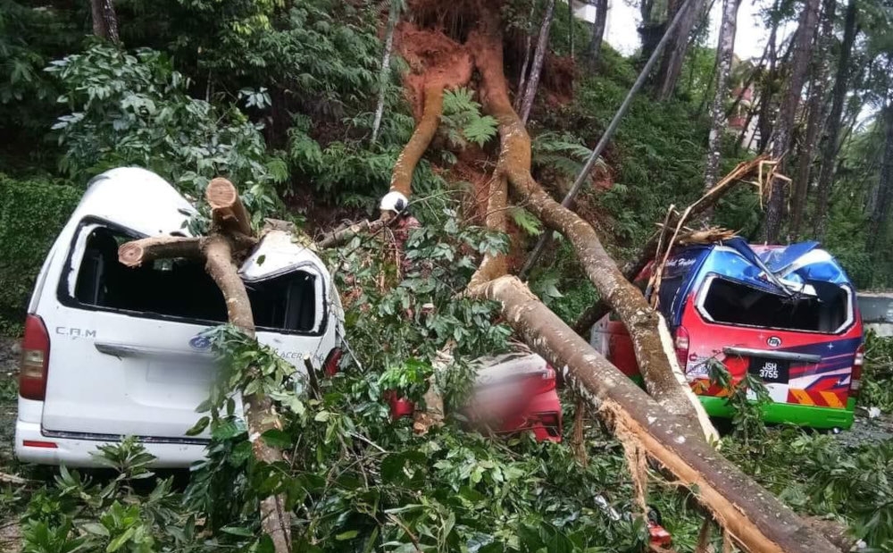 ahang JBPM public relations officer Zulfadli Zakaria said firefighters from the Genting Highlands fire and rescue station rushed to the location following a distress call at 5.23pm. — Picture from X/Bencana2024