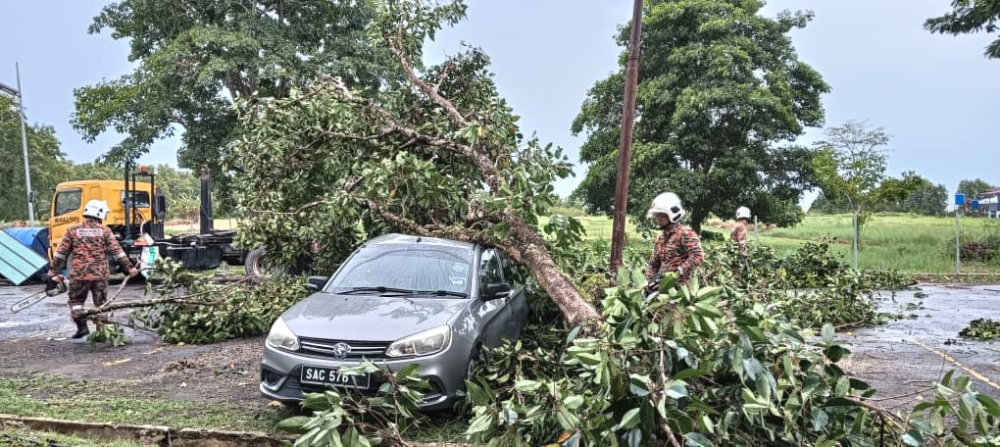 Strong winds wrecked homes, uprooted trees or sent branches flying today. — Picture courtesy of the Sabah Fire and Rescue Department