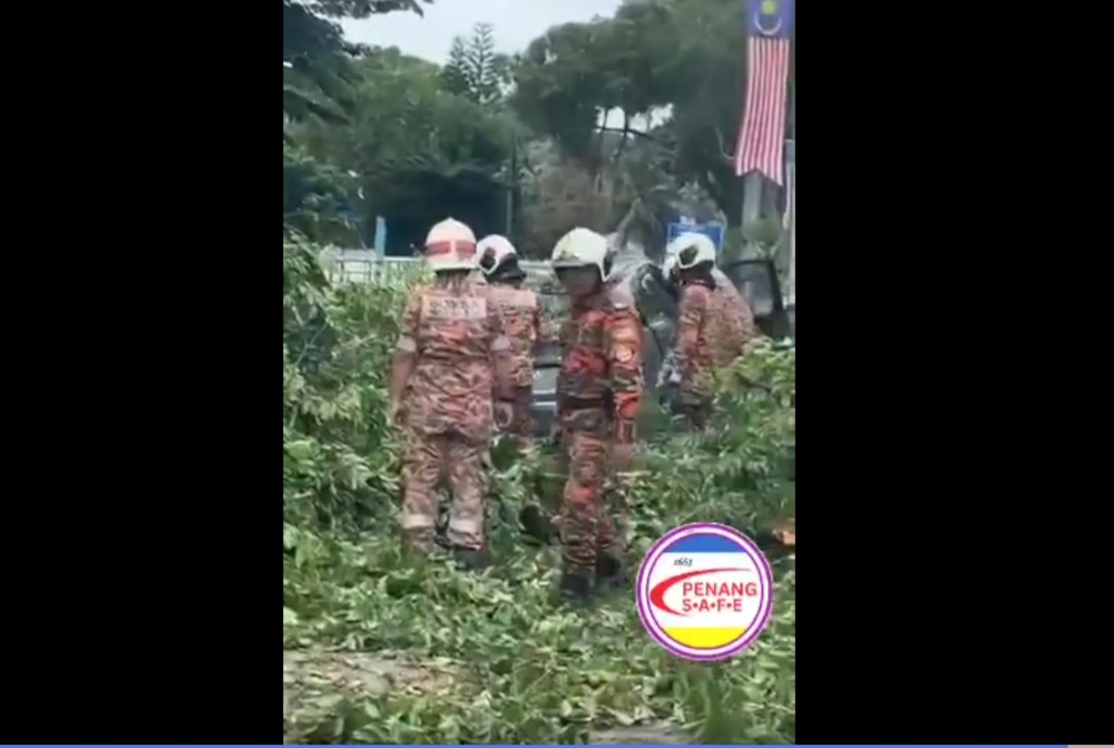 Firefighters use saws to cut through the branches of a fallen tree in Penang, September 18, 2024. — Picture from Facebook 