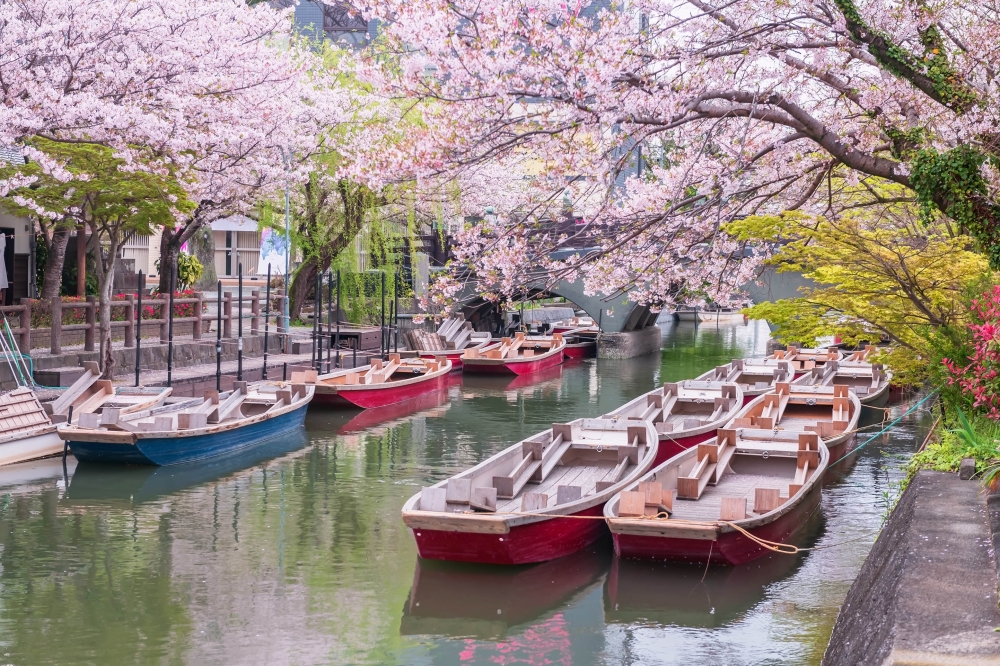 In Japan, visitors can head off the beaten track and cruise the canals of Yanagawa, sometimes called the ‘Venice of Kyushu’. — ETX Studio pic/Getty Images