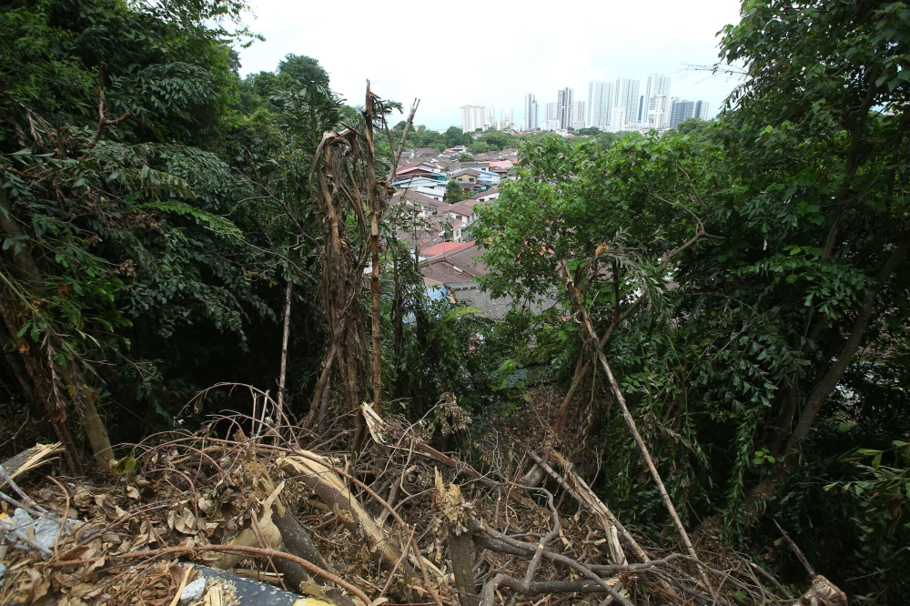 Remnants of a tree on Vale of Tempe/Jalan Lembah Permai that fell during a storm last week... in the background are the houses in Pepper Estate in the valley below. — Picture by Opalyn Mok