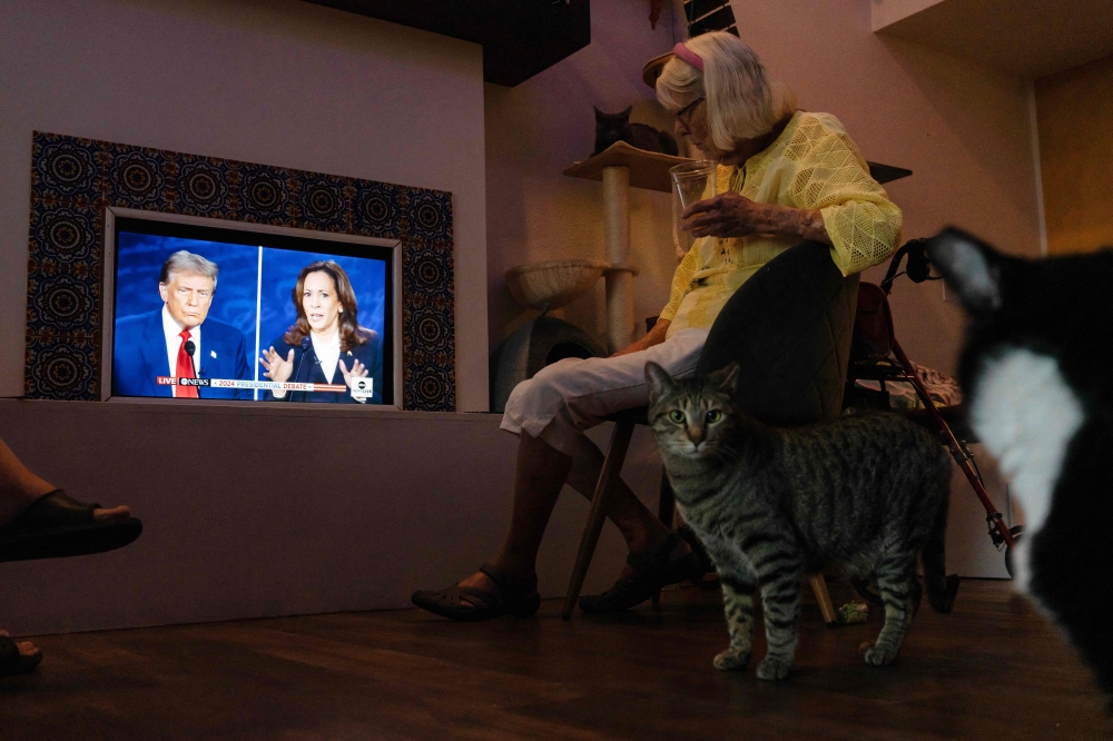 Supporters of Vice President and Democratic presidential candidate Kamala Harris, accompanied by cats, attend a watch party for the US Presidential debate between Harris and former US President and Republican presidential candidate Donald Trump at El Jefe, a cat cafe, in Tucson, Arizona, on September 10, 2024. — AFP pic