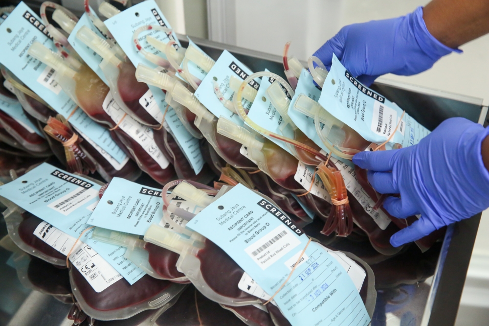 The CABG procedure may involve blood loss and transfusion as it takes several hours to harvest a vein from other parts of the body and plant on the heart. — Picture by Choo Choy May