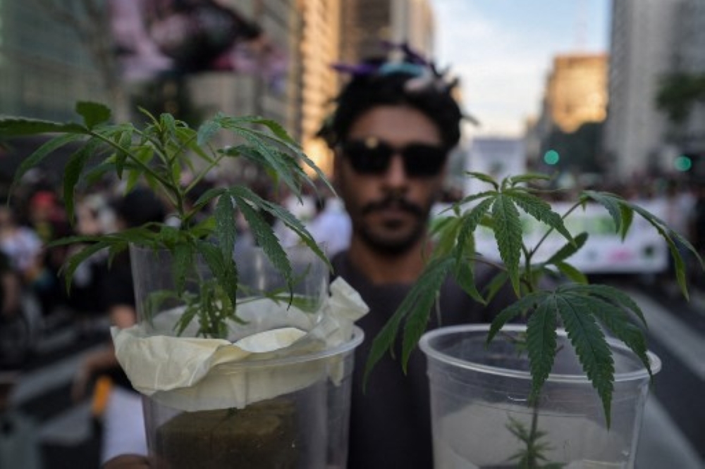The liberal enclave hopes to compete with Amsterdam and already hosts 'cannabis lounges,' where dispensaries are attached to separate bars or restaurants. — AFP pic