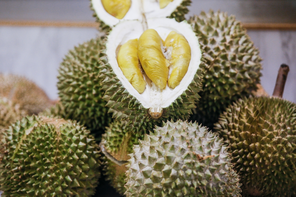 In August, Malaysia exported premium-quality fresh durians, such as Musang King, Black Torn, and D24, to be sold in six regions in the republic: Beijing, Zhengzhou, Shanghai, Guanzhou, Shengzen, and Nanning. — Picture by Hari Anggara