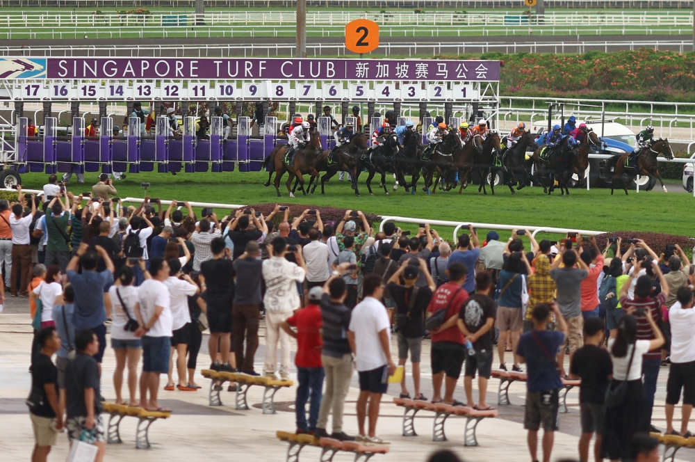 Horses race in the Grand Singapore Gold Cup on the last race day at the Singapore Turf Club, in Singapore October 5, 2024. — Reuters pic  