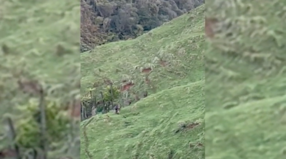 Last week marked the first reported sighting of all three children since their disappearance. 