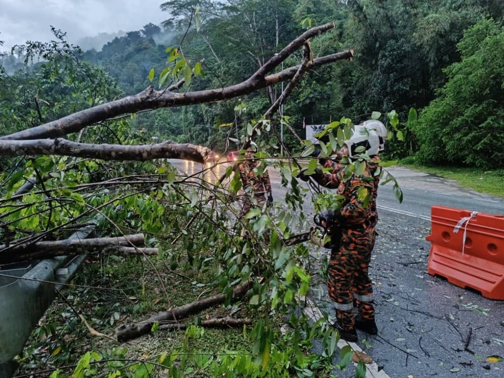 A file photograph show rescue workers removing toppled trees near Gombak, on October 2, 2024. — Picture from Facebook/Balai Bomba Dan Penyelamat Bandar Baru Selayang