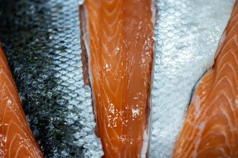 Salmon fillets are pictured in this undated illustrative photo. — AFP pic