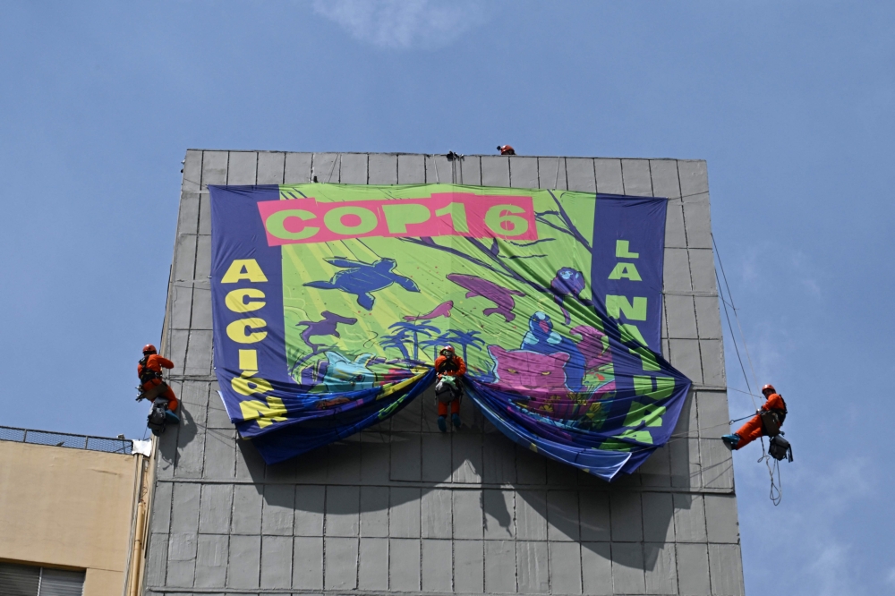 Greenpeace activists hang a banner that reads “COP 16 Action for Nature?” in Cali, Valle del Cauca department, Colombia, on October 18, 2024. — AFP pic