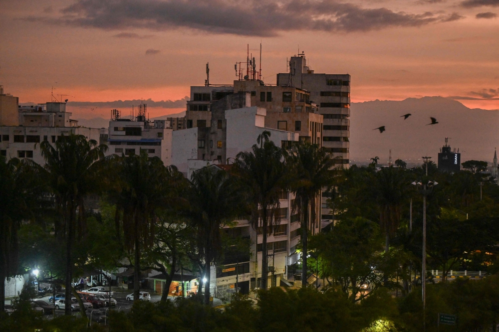 Chestnut-fronted macaw fly previous to the COP16 Summit in Cali, Valle del Cauca Department, Colombia, on October 18, 2024. — AFP pic