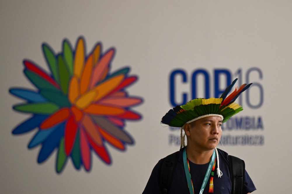 A Brazilian Indigenous man is pictured at the venue where the COP16 conference will be held at the Pacific Event Center in Cali, Colombia, on October 20, 2024. — AFP pic 