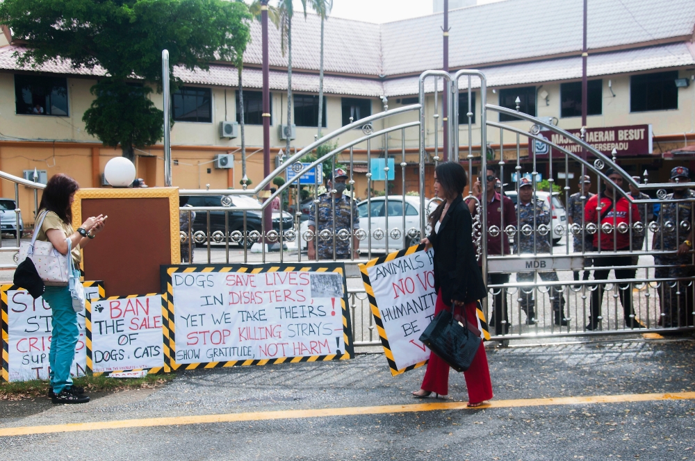 Both participants of the ‘Together Louder for Kopi’ rally stand outside the outside the Besut District Council office on Oct 27, 2024. — Bernama pic