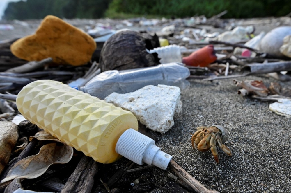 A hermit crab (Paguroidea) walks on a beach full of plastic pollution in Gorgonilla Island, next to Gorgona Island, in the Pacific Ocean off the south-western Colombian coast, on December 1, 2021. — AFP pic