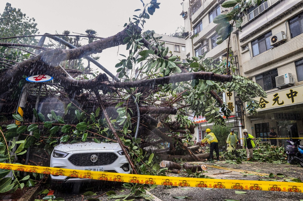 A car is crushed under an uprooted tree at New Taipei City October 31, 2024, as Super Typhoon Kong-rey nears the coast in Taitung. — AFP pic