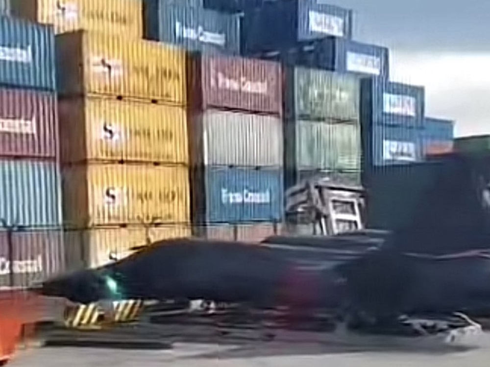 The Royal Malaysian Air Force has denied that several aircraft featured in a viral video belong to the air force. — Picture via social media