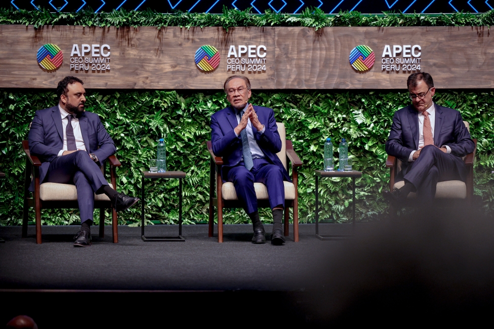 The Asia-Pacific Economic Cooperation (Apec) must recognise the potential of non-traditional alliances such as the African Union, Latin America and Brics, according to Prime Minister Datuk Seri Anwar Ibrahim. — Bernama pic