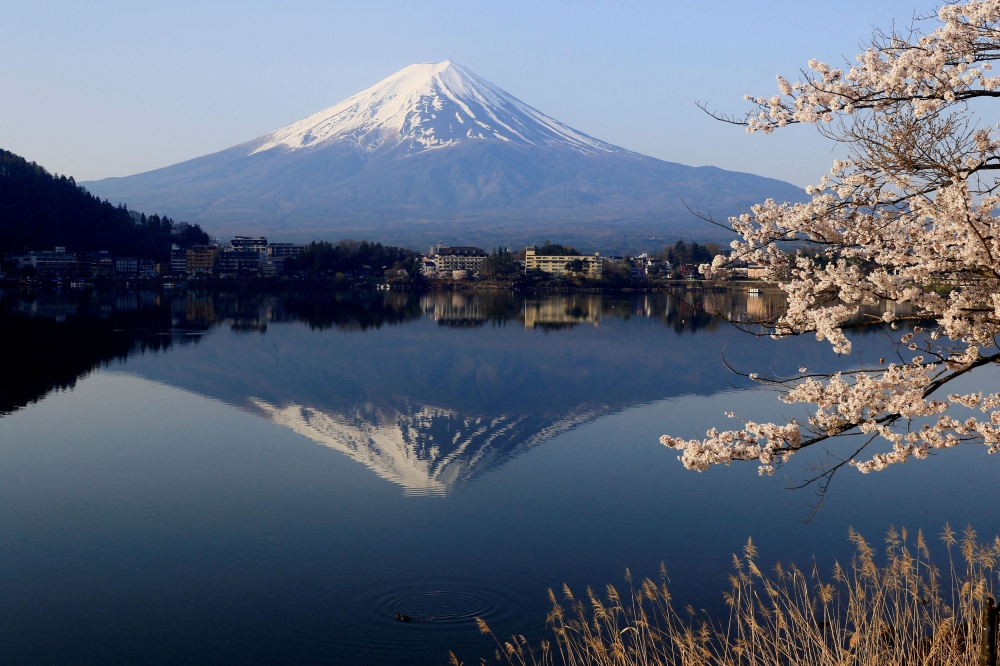 Mount Fuji, which straddles Yamanashi and Shizuoka prefectures, is one of the most popular tourist destinations in Japan, whose numbers have surged in recent years. — Reuters pic