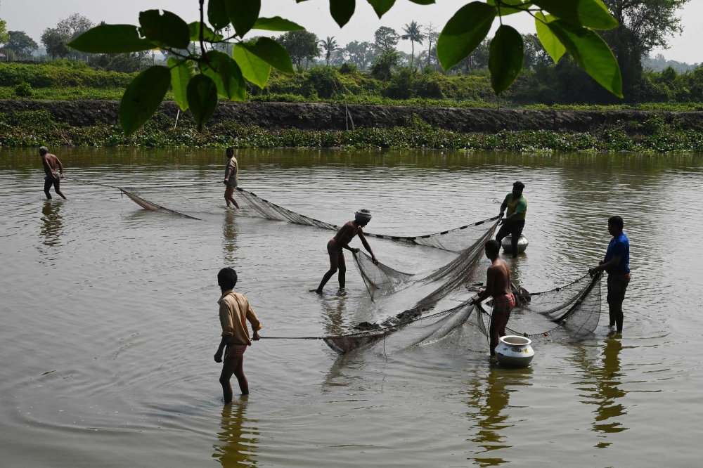 In this picture taken on March 22, 2023, fishermen cast a net in a shallow water body in the East Calcutta Wetlands area in Kolkata. The world’s warming tropical wetlands are releasing more methane than ever before, research shows — an alarming sign that the world’s climate goals are slipping further out of reach. — AFP pic
