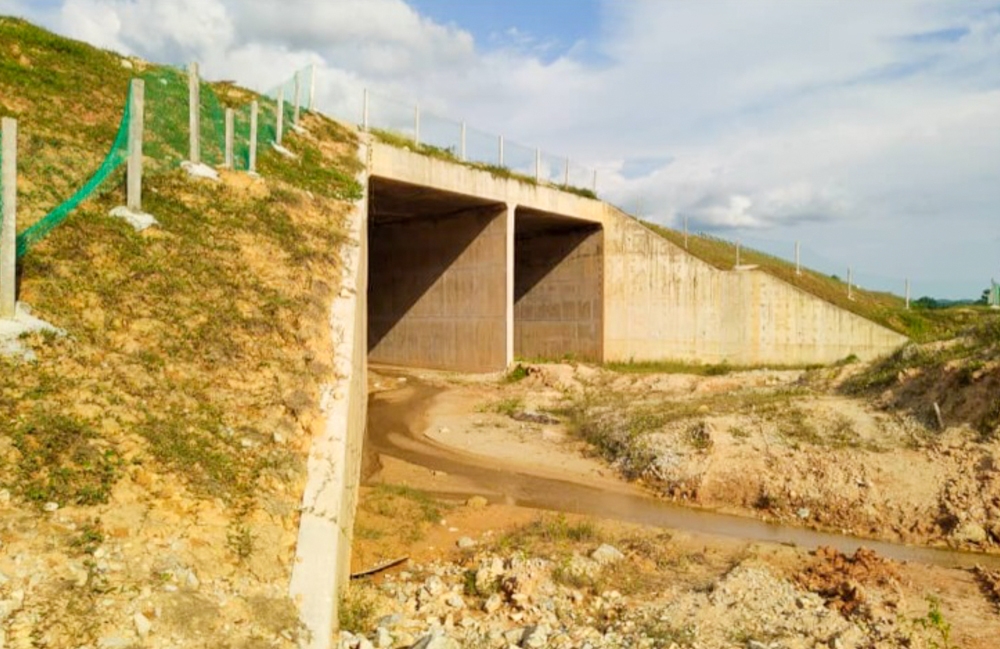 WCE has built two animal box culverts for wildlife crossings, at KM248.3 and KM249.7 of the highway. The culverts measure 8m x 8m in size. — Picture courtesy of WCE