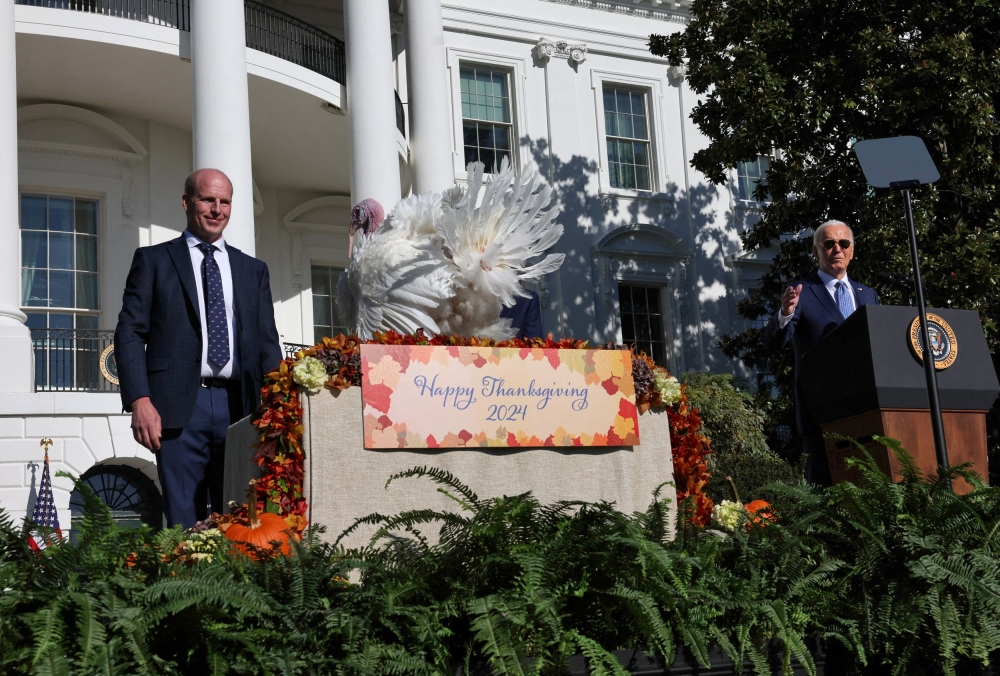 US President Joe Biden pardons the National Thanksgiving Turkey named Peach as John Zimmerman, chair of the National Turkey Federation looks on during the annual ceremony on the South Lawn at the White House in Washington November 25, 2024. — Reuters pic  