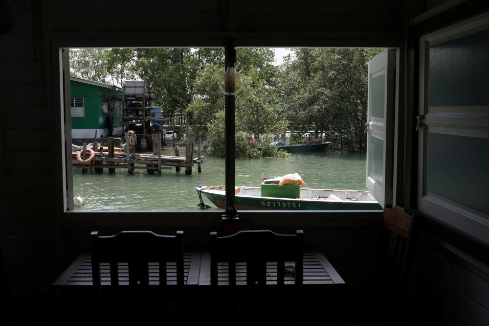 A view from the living room of a wooden stilt house on Singapore’s Pulau Ubin island November 1, 2024. — Reuters pic