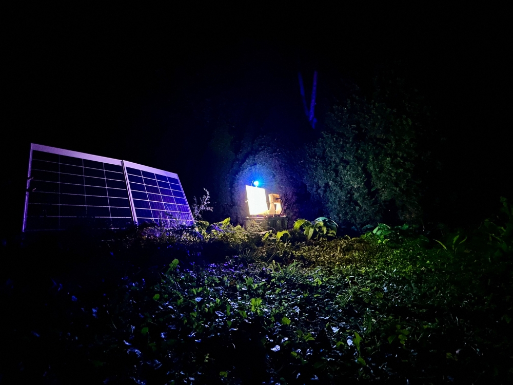 A solar-powered station designed to take a photo every 10 seconds of insects attracted by UV light at the Montreal Insectarium in Montreal, Quebec October 3, 2024. The images are then uploaded to the Antenna platform, where an Artificial Intelligence (AI) identifies the different species, including new ones. Artificial intelligence (AI) is emerging as a crucial ally in the conservation of insects, cornerstones of biodiversity, at a time when 90% of species have yet to be identified and their extinction is accelerating at an alarming rate. — AFP pic