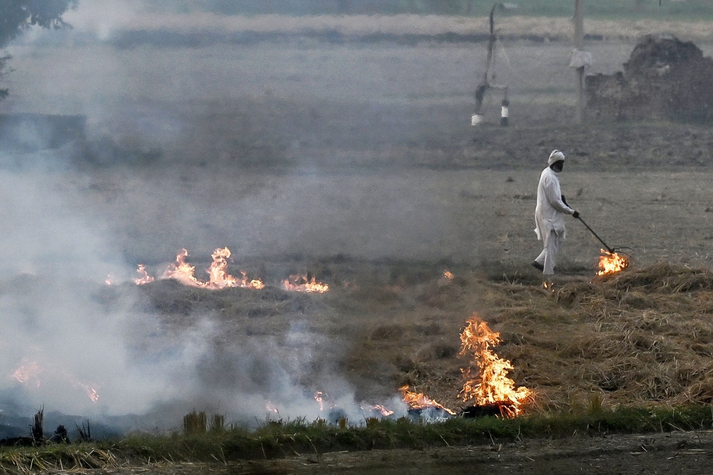 In this photograph taken on November 26, 2024, a farmer burns straw stubble after harvesting a paddy field on the outskirts of Jind in India’s Haryana state. Burning strips the fertility of the fields, has a ruinous impact on India’s economy and sends plumes of acrid smoke packed with dangerous cancer-causing particles drifting over a densely-populated belt of northern India, including the 30 million people in the capital New Delhi. — AFP pic 