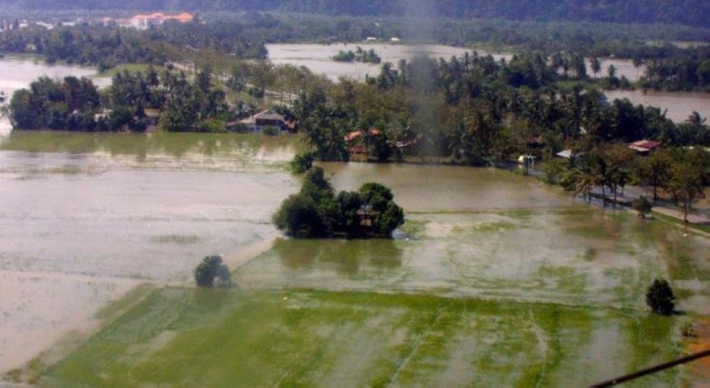 Approximately 4,300 hectares of paddy fields in Perlis are estimated to have been affected by flooding, involving areas within and outside the Muda Agricultural Development Authority (Mada) region. — Bernama