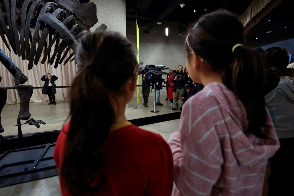 The Stegosaurus fossil at the American Museum of Natural History, in New York City. — Reuters pic