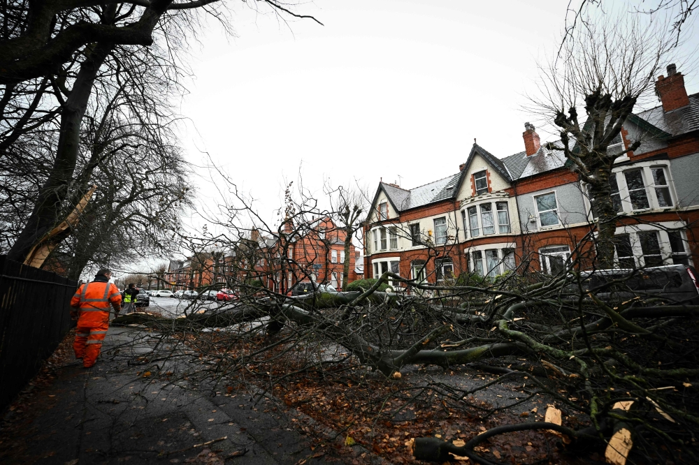 Fallen trees blocking Greenbank road in Liverpool. — AFP pic