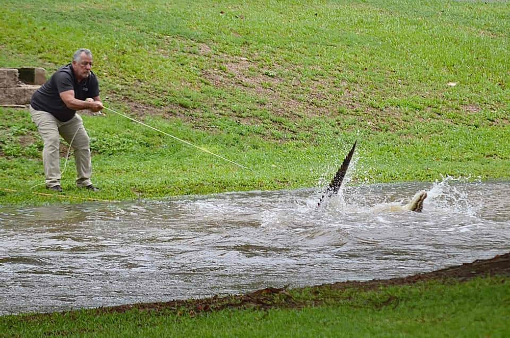 This handout taken and released on December 18, 2023 courtesy of Jonty Fratus shows a crocodile being wrangled from floodwaters in the Northern Queensland town of Ingham. — Picture courtesy of Jonty Fratus via AFP