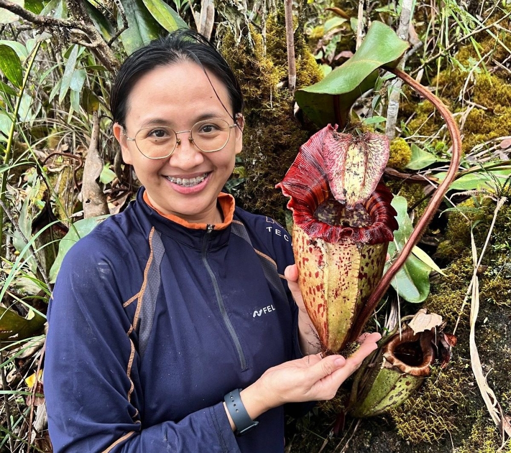 Alviana Damit with the pitcher plant. — The Borneo Post pic