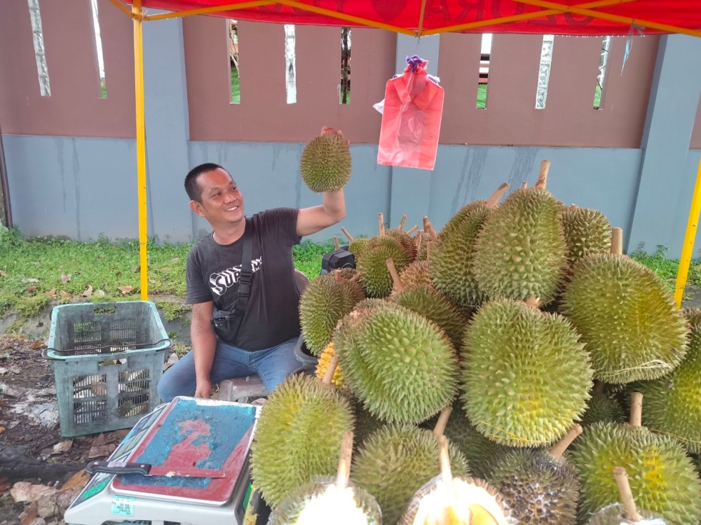 Chong holds up a Musang King for the camera, at his trading site at Hui Sing Garden roundabout. — The Borneo Post pic