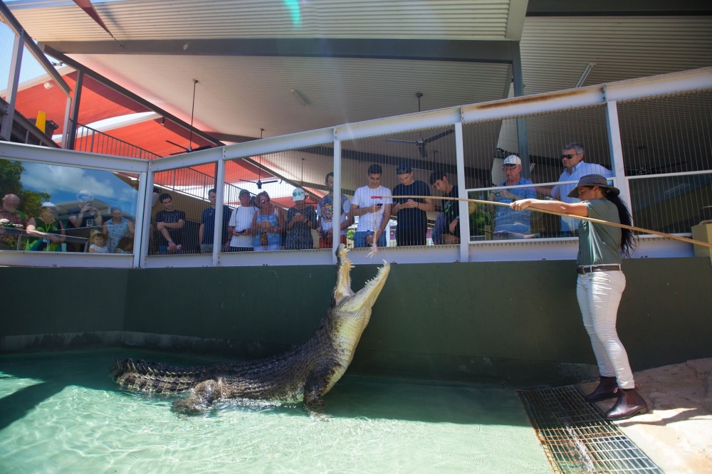 Burt, the saltwater croc and star of ‘Crocodile Dundee’, lived at the Crocosaurus Cove in Darwin, Australia since 2008 and died aged 90 on December 23, 2024. — Picture from Facebook/Crocosaurus Cove Darwin