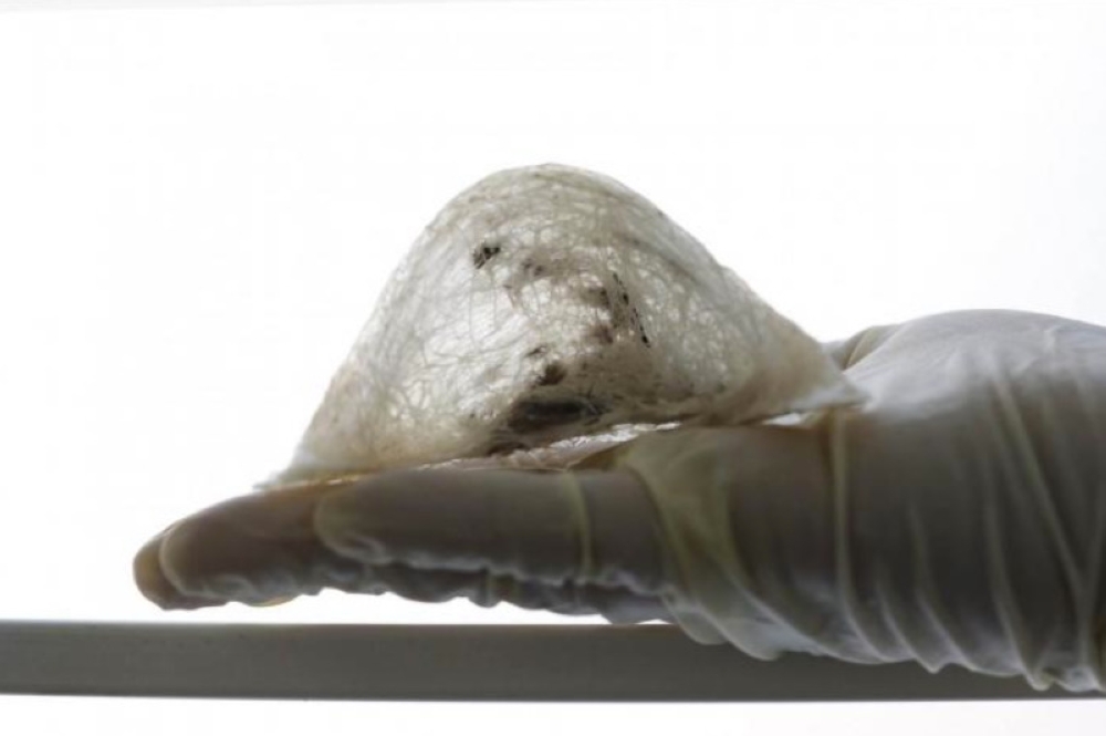 A worker poses with an unclean bird’s nest at a processing plant in Kuala Lumpur February 17, 2015. Malaysia has received a request to temporarily suspend the export of bird’s nest products, including raw-cleaned and raw-uncleaned edible bird’s nests, to China beginning December 20. — Reuters pic 