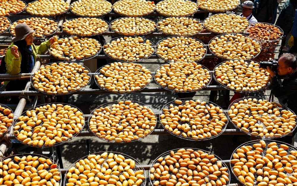 Taiwan’s annual persimmon harvest declined for the second year in a row in 2023 to around 59,000 tonnes. — AFP pic