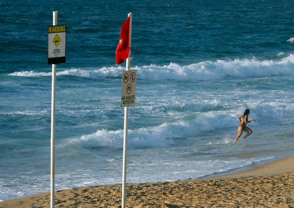 A shark warning sign is seen on a beach in Newcastle, Australia. A surfer missing in southern Australia was likely mauled to death by a shark, police said today as they combed the coast for his body. — Reuters file pic