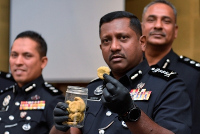 Selangor police probe drug use, dispute to find motive behind murder of missing teen found dead in Banting