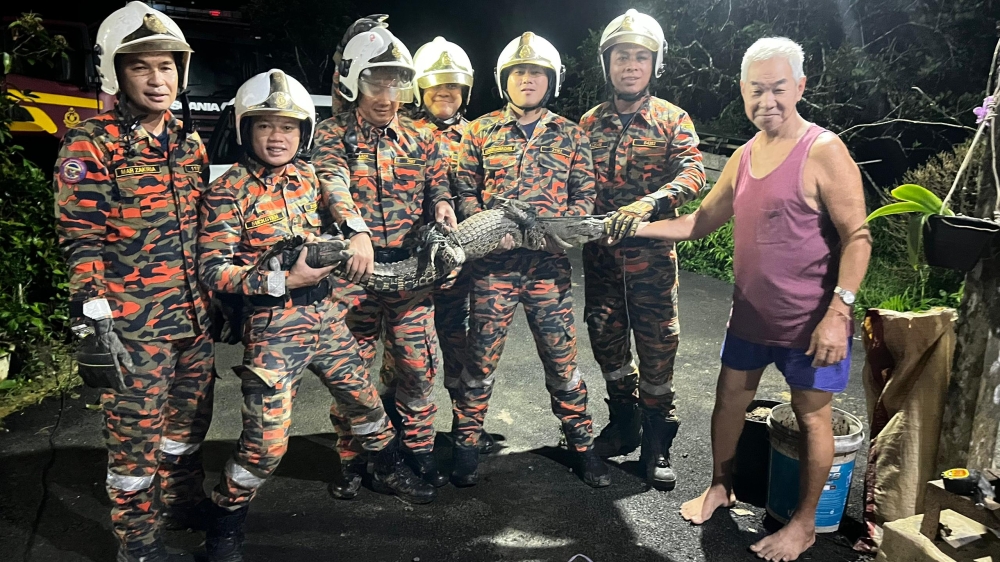 Bomba personnel and the houseowner with the caught baby crocodile. — The Borneo Post