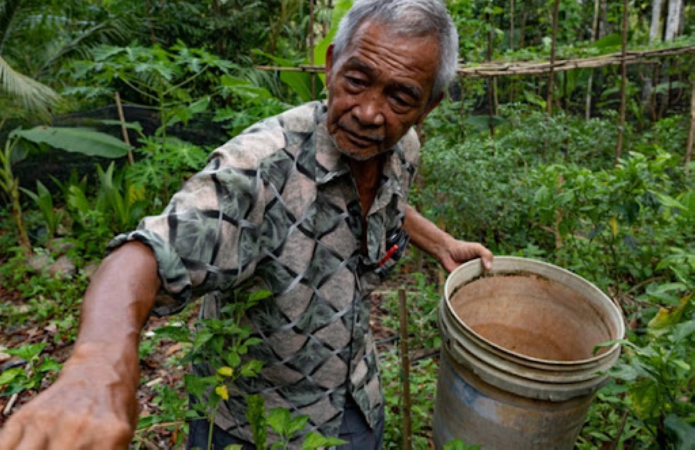 Pak Long tends to his chili padi on the farm right by his home.